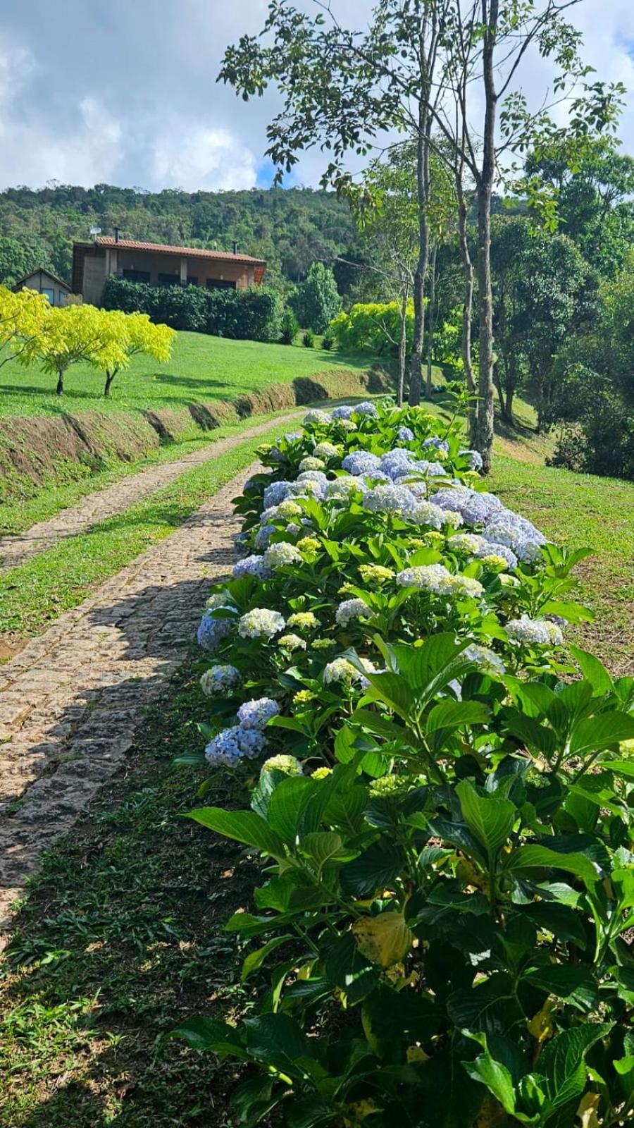 Chales Boa Vista Villa Gonçalves Eksteriør billede